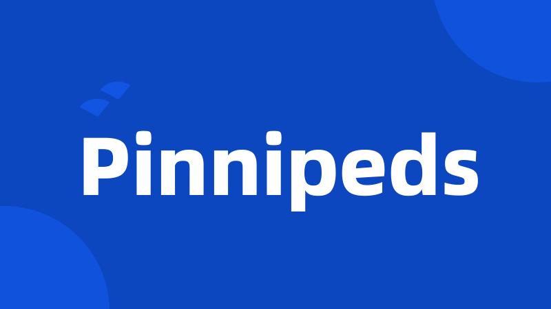 Pinnipeds