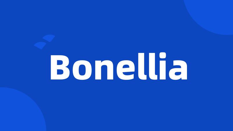Bonellia