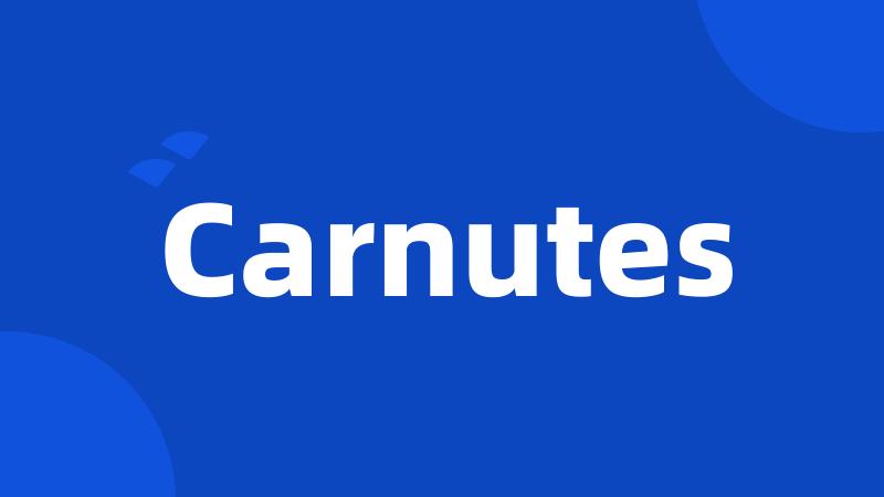 Carnutes