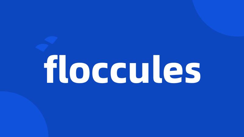 floccules