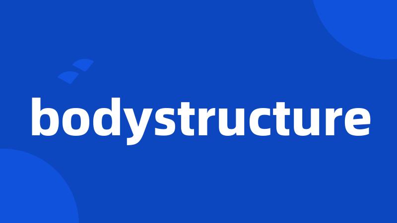 bodystructure