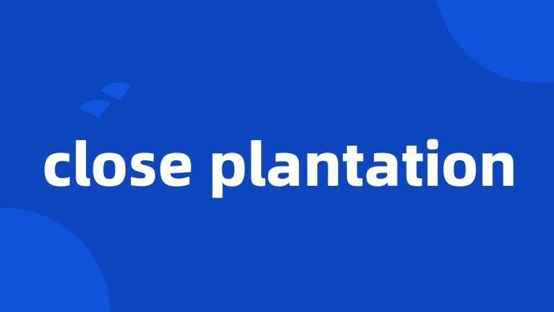 close plantation