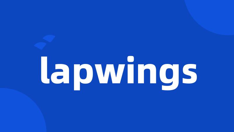 lapwings