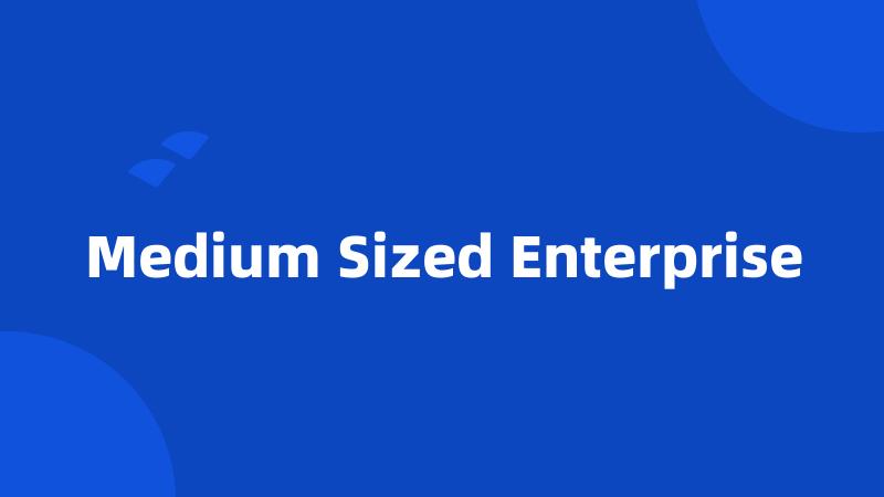 Medium Sized Enterprise