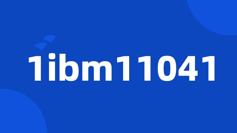 1ibm11041