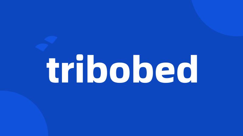 tribobed
