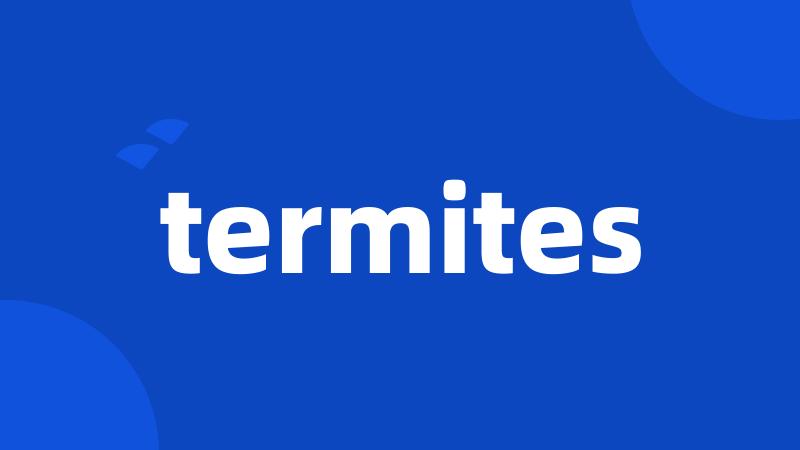 termites