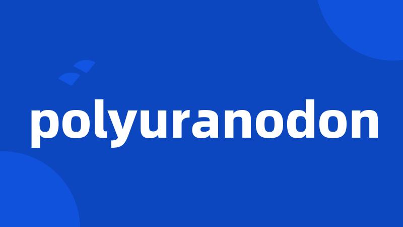 polyuranodon