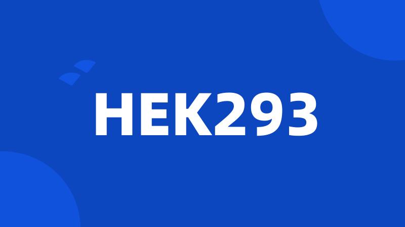 HEK293