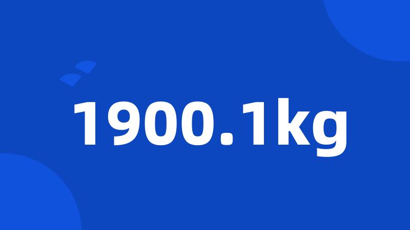 1900.1kg