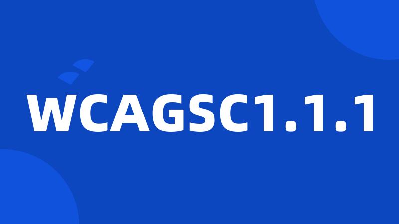 WCAGSC1.1.1