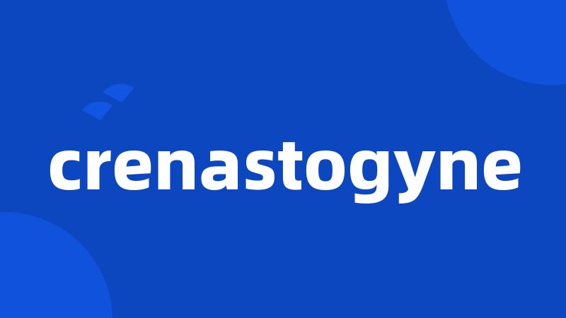 crenastogyne