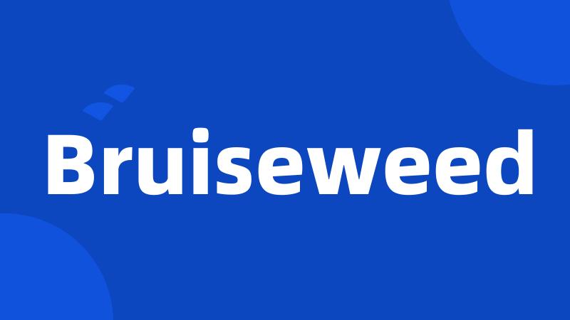 Bruiseweed