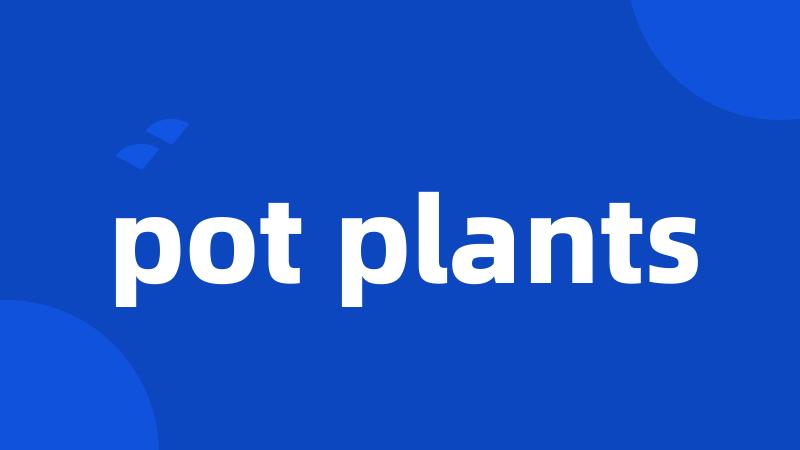 pot plants