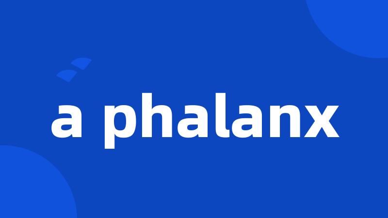 a phalanx