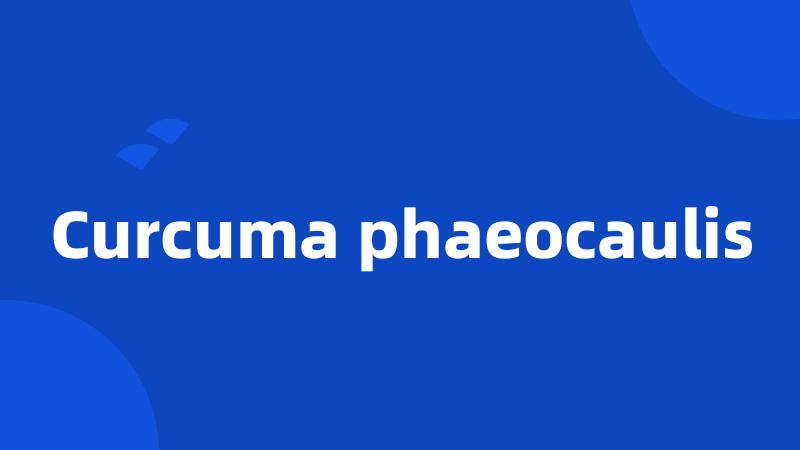 Curcuma phaeocaulis
