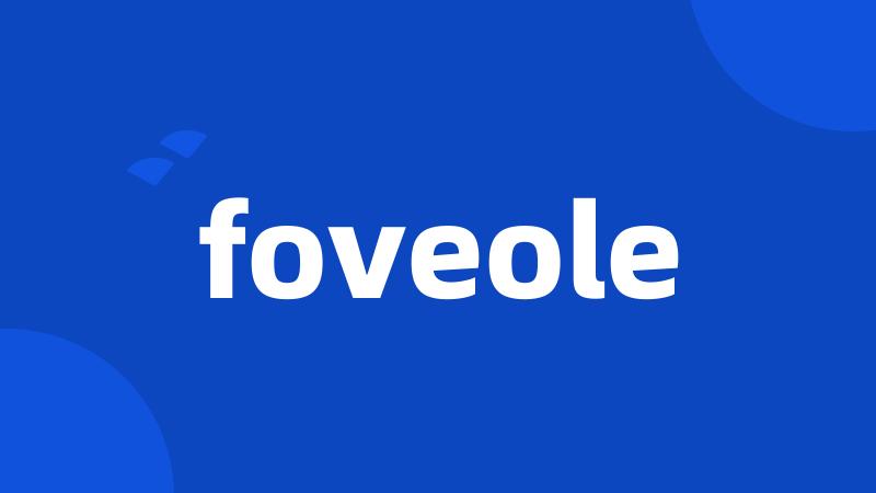 foveole
