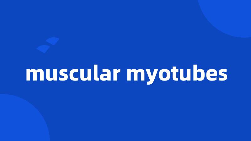 muscular myotubes