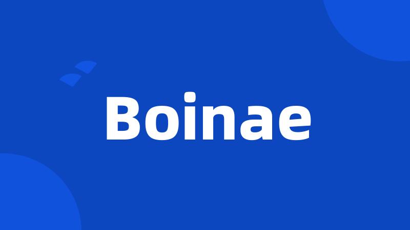 Boinae