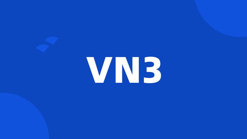 VN3