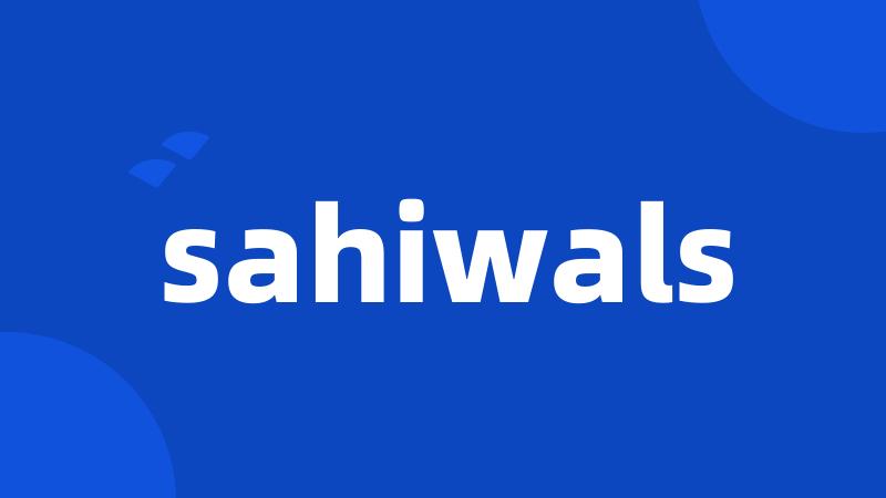sahiwals