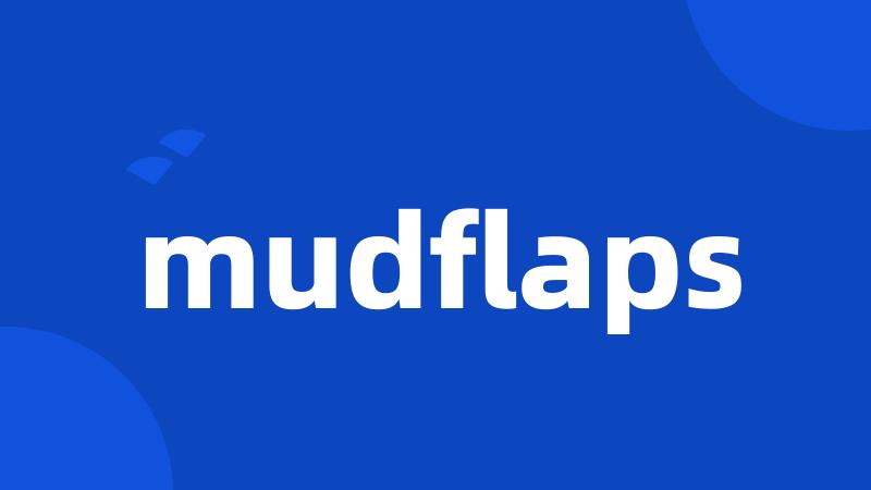 mudflaps