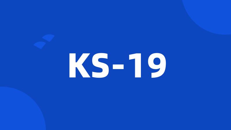 KS-19