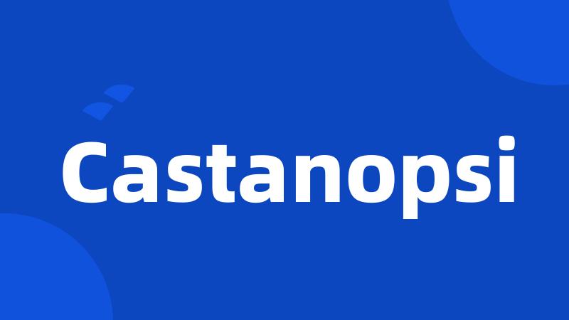 Castanopsi