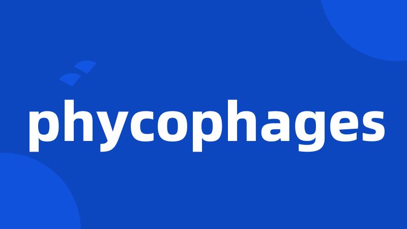 phycophages