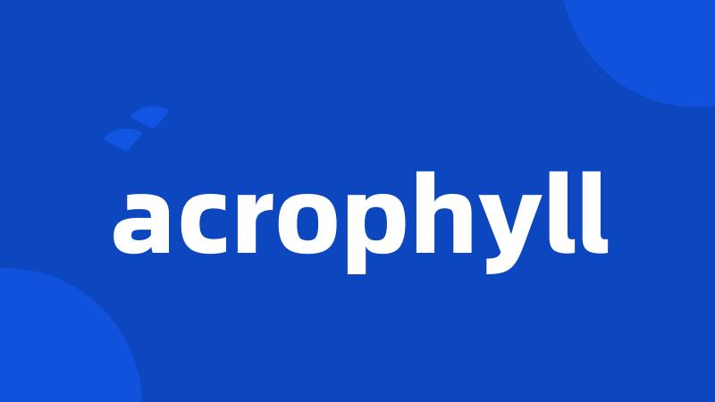 acrophyll