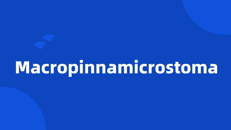 Macropinnamicrostoma