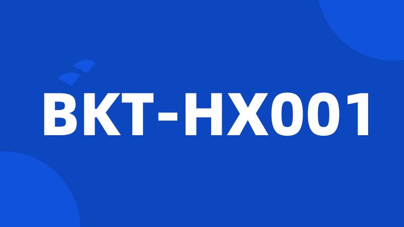 BKT-HX001