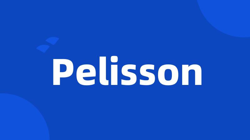 Pelisson