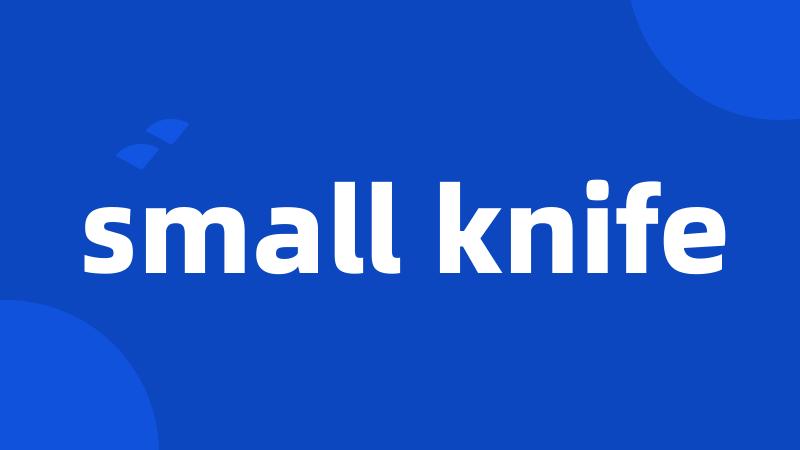 small knife