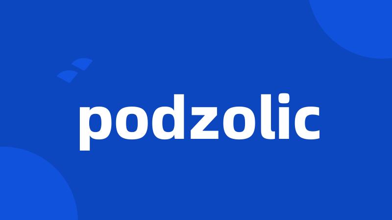 podzolic