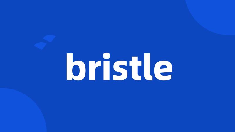 bristle