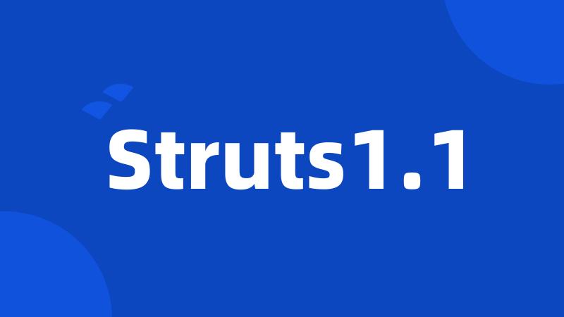 Struts1.1