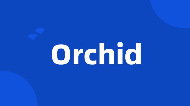 Orchid