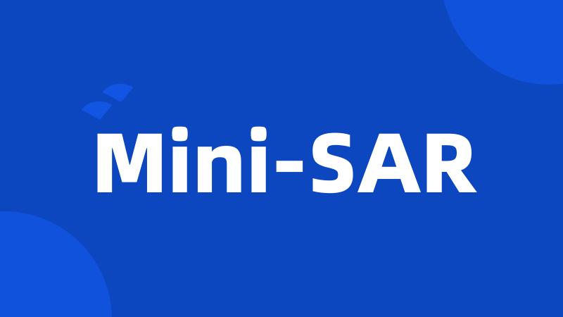 Mini-SAR