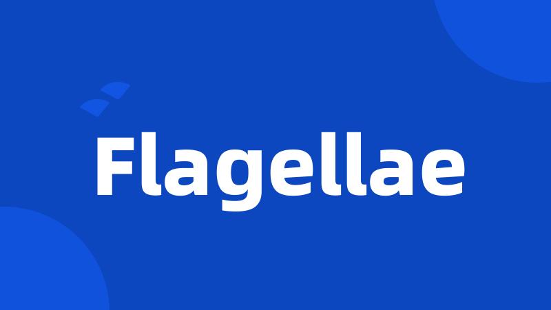 Flagellae