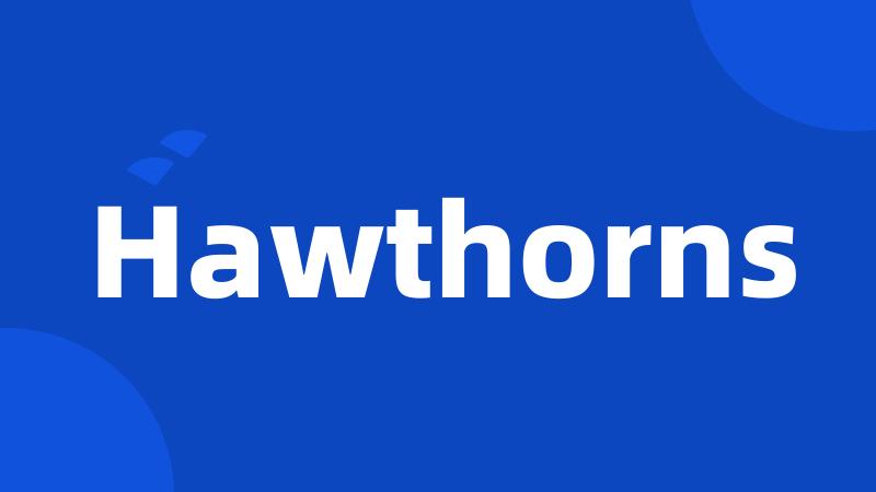 Hawthorns