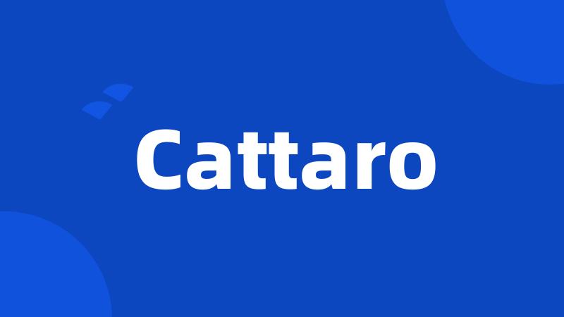 Cattaro