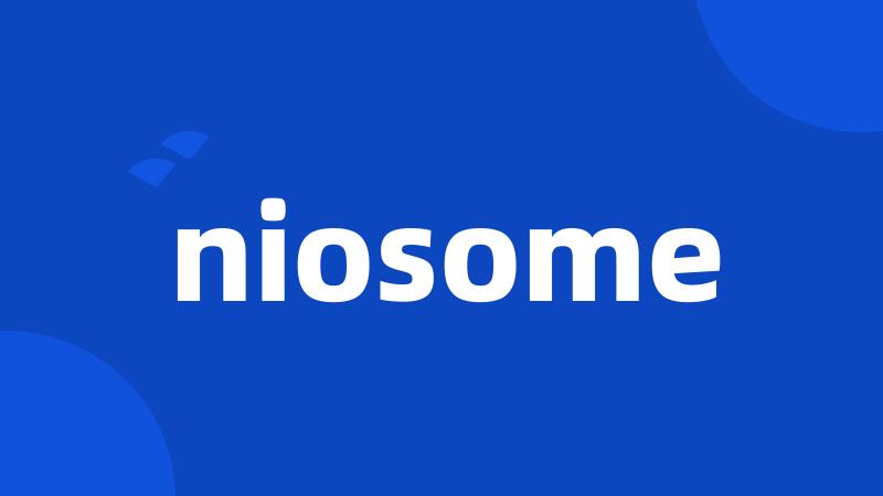 niosome