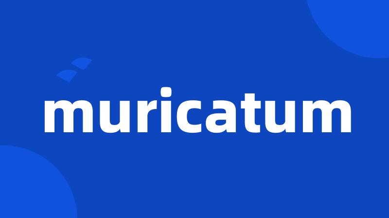 muricatum