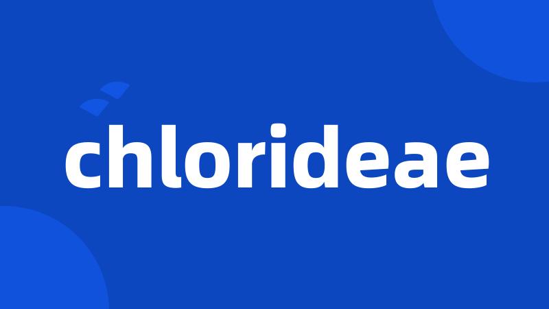 chlorideae