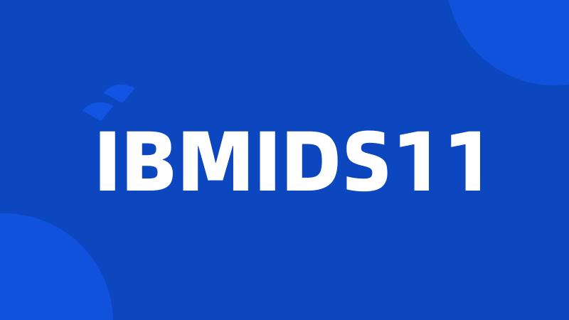 IBMIDS11