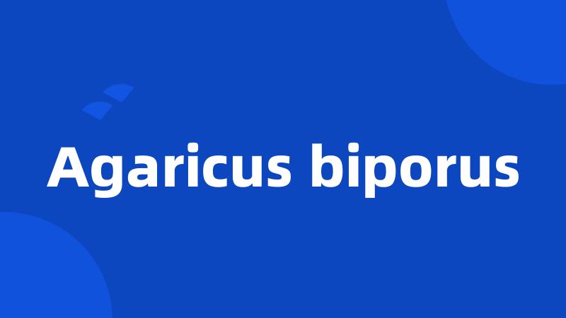 Agaricus biporus