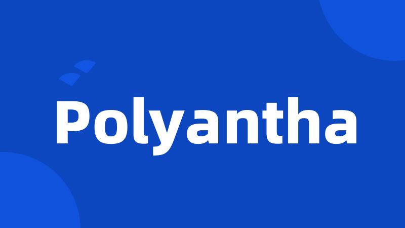 Polyantha