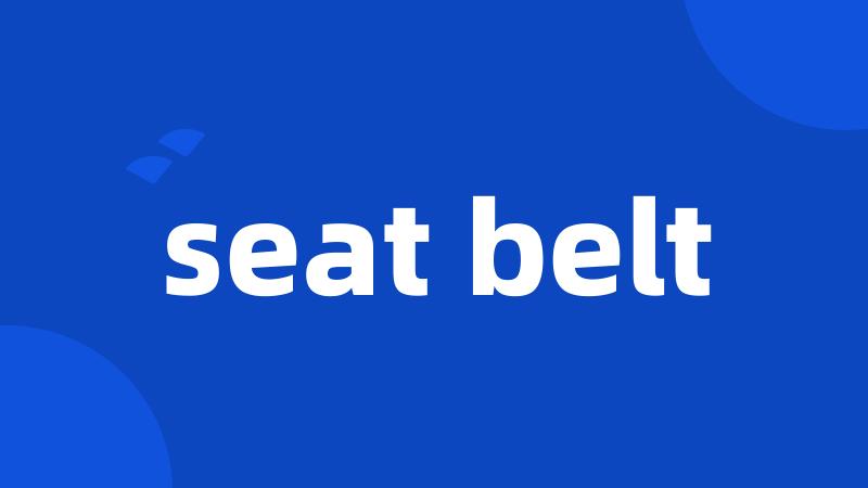 seat belt