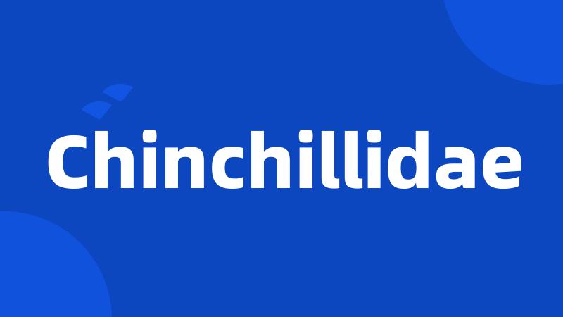 Chinchillidae